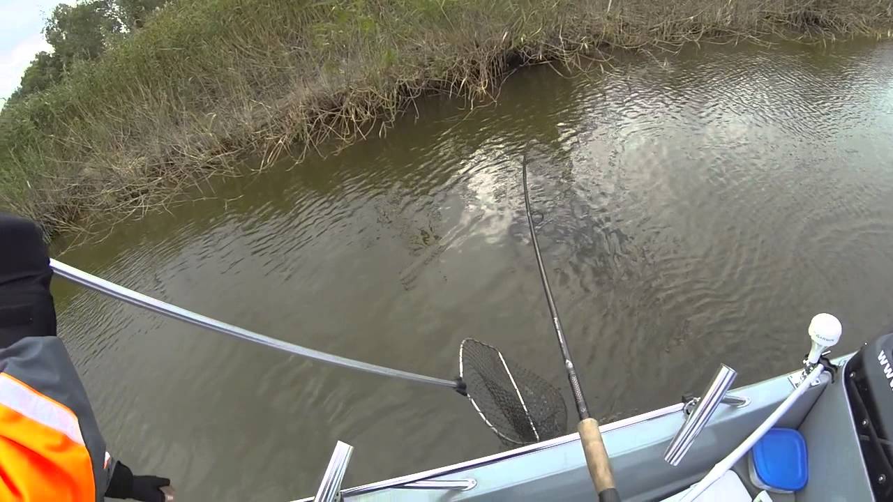 T&otilde;ugjas - Suur-Emaj&otilde;gi (www.kalastus.eu)