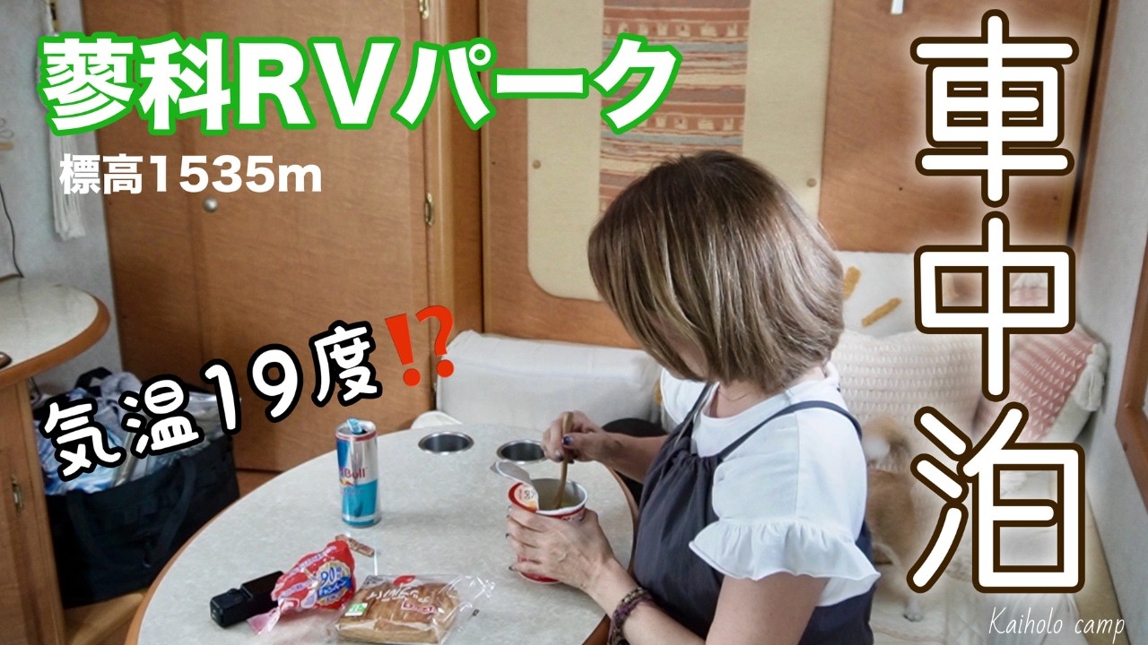 【50代女子⁉︎ソロ車中泊】長野県 蓼科高原 最低気温19℃ クーラーいらずの車中泊｜RVパーク蓼科｜Solo Camping with my dogs. Vlog［71］