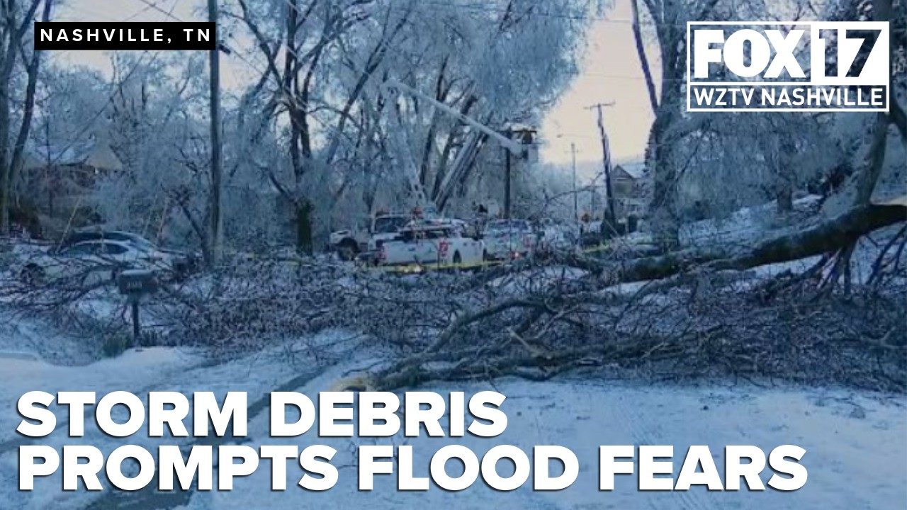 Downed trees from winter storm raise flooding concerns ahead of incoming rainfall