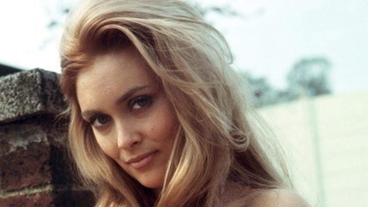 13 Sexy Photos of Alexandra Bastedo