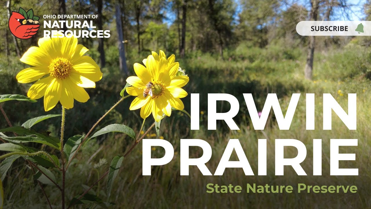 Irwin Prairie State Nature Preserve