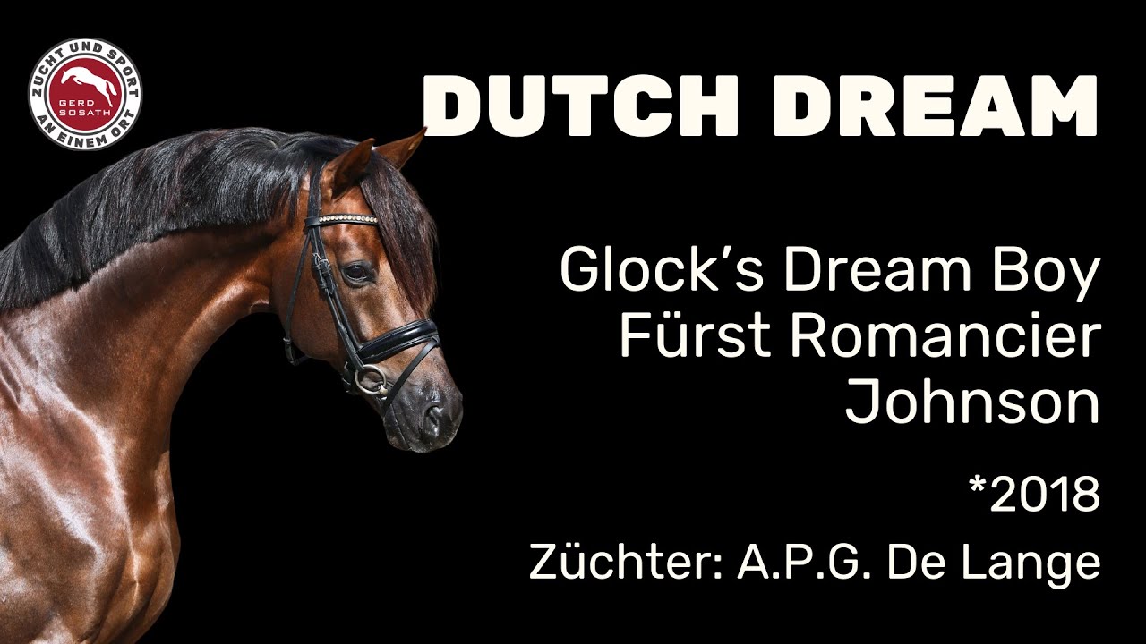 Dutch Dream *2018 von Glock's Dream Boy x Fürst Romancier | Hengstschau Sosath 2025