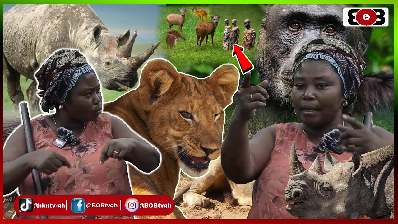 😳Huntress share how BLACK DUIKERS turned to beautiful black ladies;Nkranee-Driver ants aka me tw3 Da
