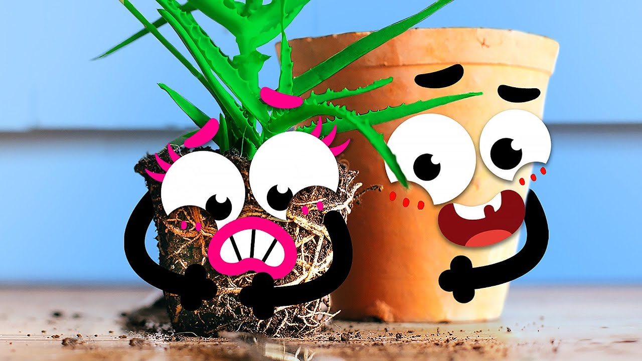 Romantic veggies and curious fruits looking for soulmates  - Doodland #270