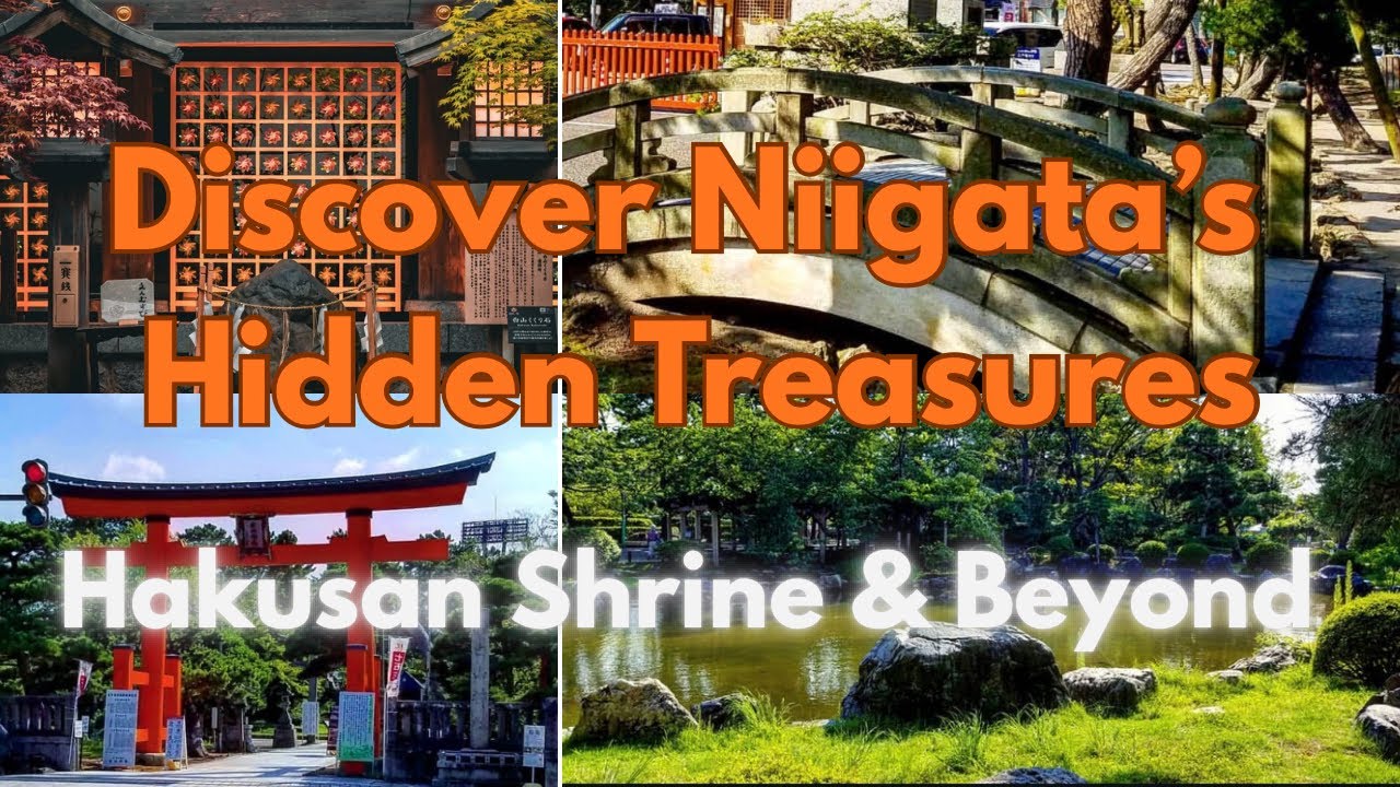 📍Hakusan Shrine, Niigata, Japan, 白山神社（新潟県、日本）⛩️🪷