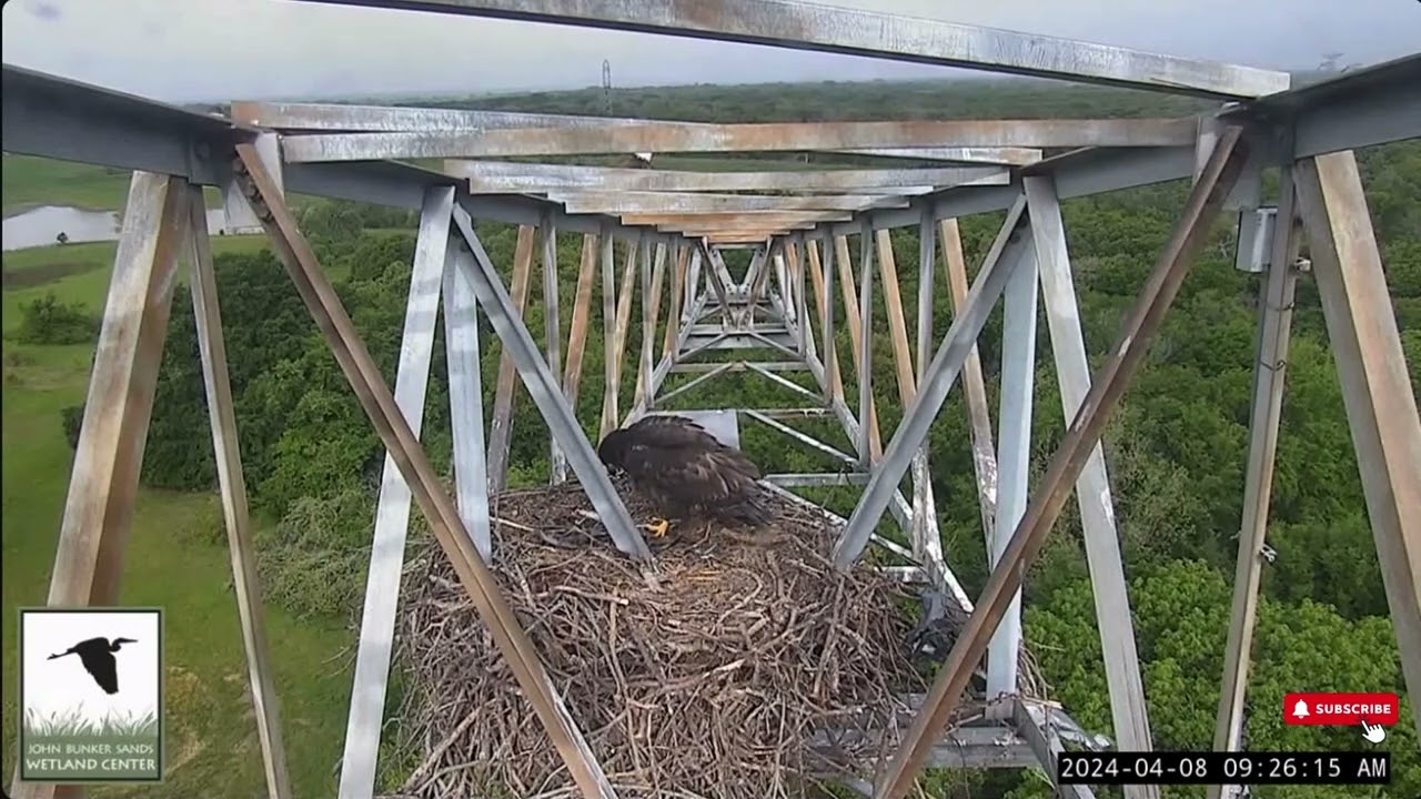 📢 S/he Took the Leap! - JB Sands Wetland Center - Mom, Dad, JBS20 (RIP JBS21) (4/8)