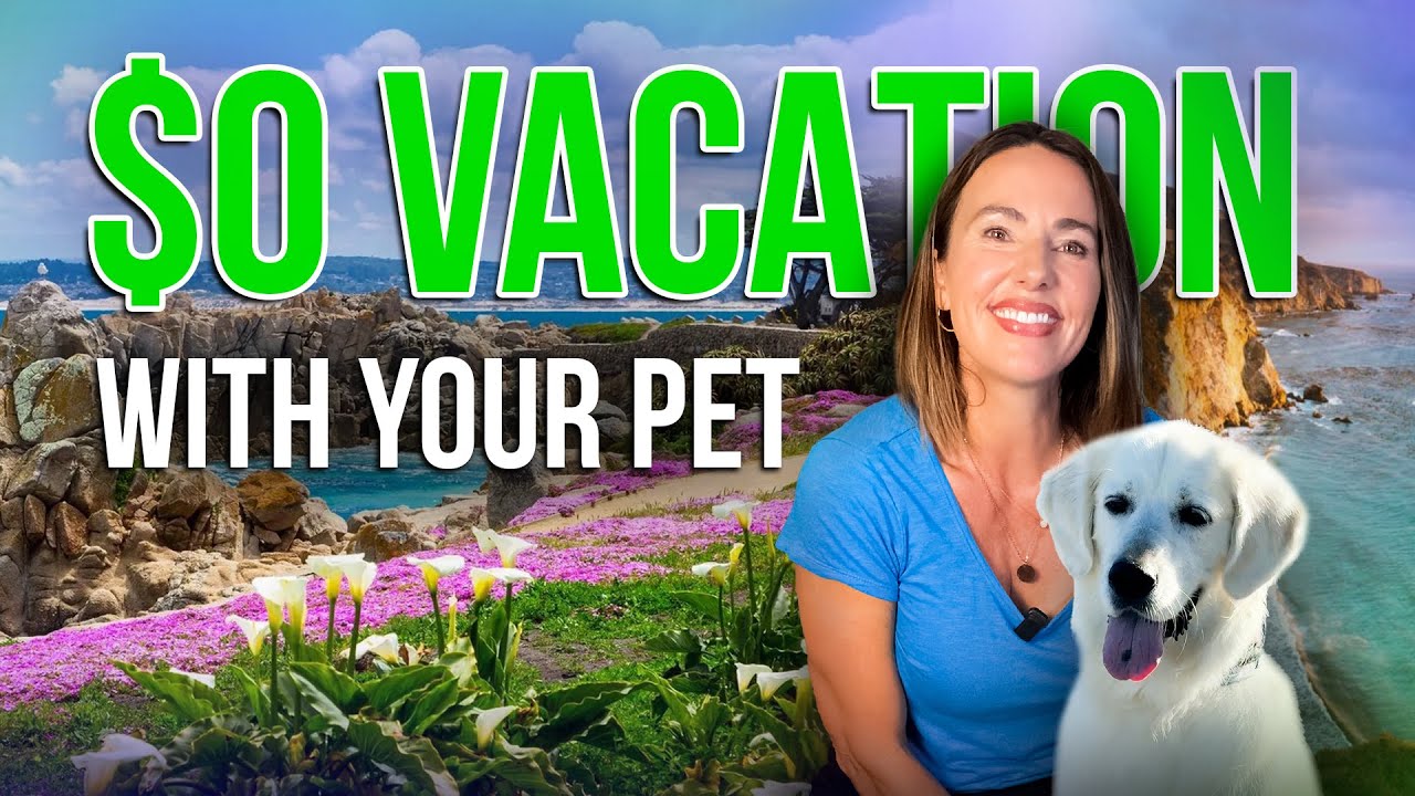 How to Travel FREE with Your Dog: Pet Parent's Complete Guide (No Kennels, No Guilt, No Fees)