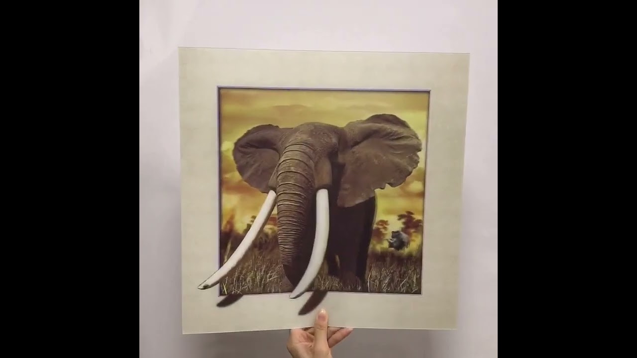 400x400mm 5D Lenticular Poster on sales elephant with 5d effect