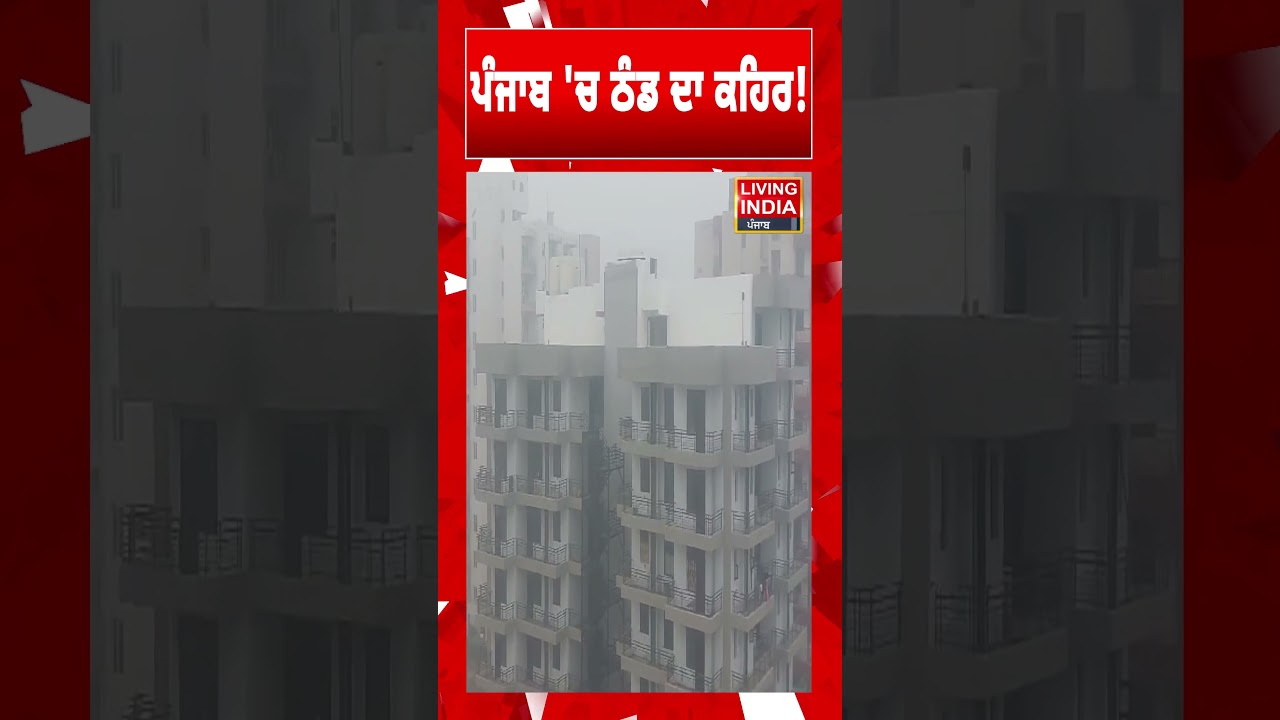 ਪੰਜਾਬ 'ਚ ਠੰਡ ਦਾ ਕਹਿਰ ! Punjab Weather | Heavy Rain | Yellow Alert