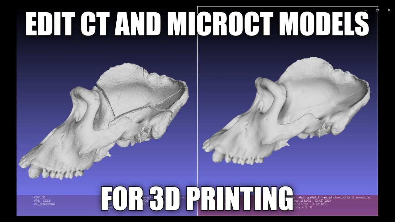 Edit CT and MicroCT Models for 3D Printing