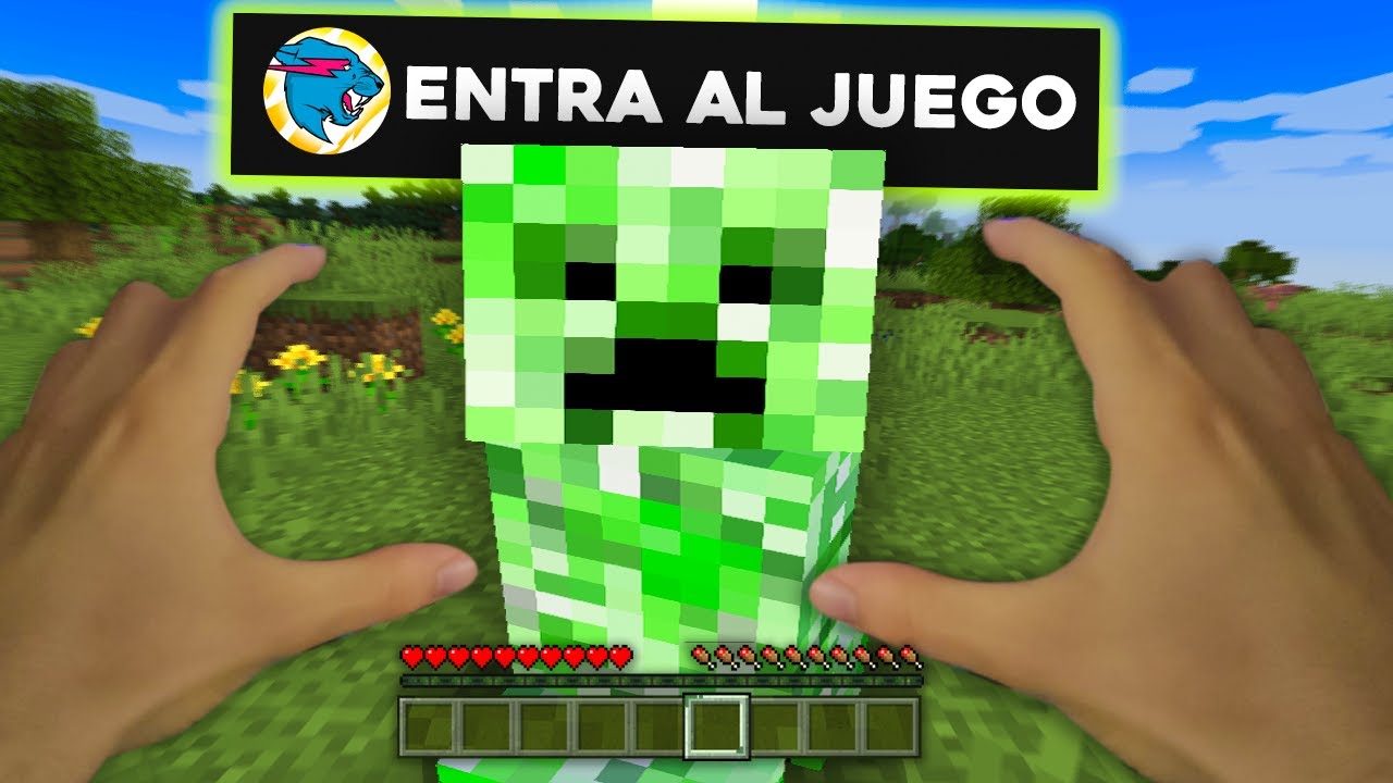 ¿Que Pasaría si Entras Dentro de Minecraft?