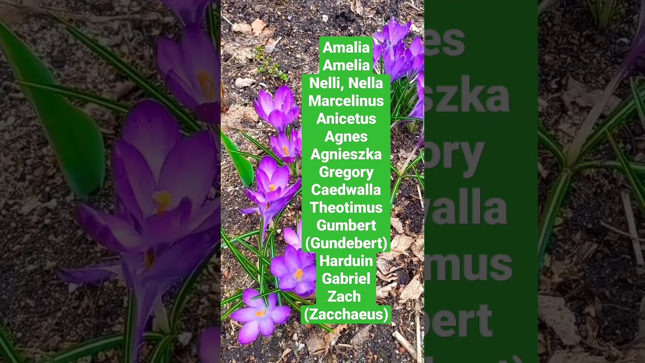 April 20: Name Days #names #celebrations #calendar #nameday