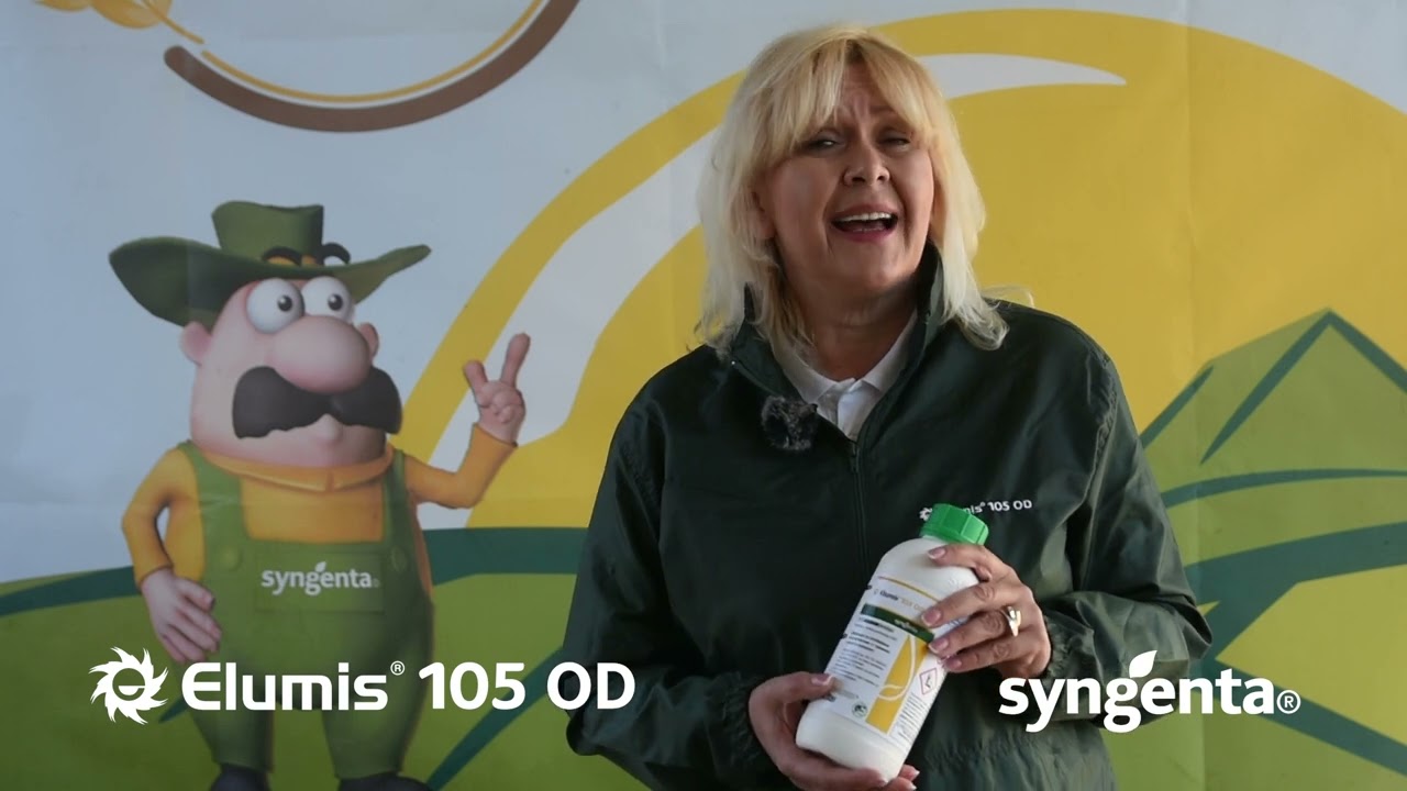 BEZ MUKE suzbija korove u kukuruzu - ELUMIS 105 OD, Syngenta