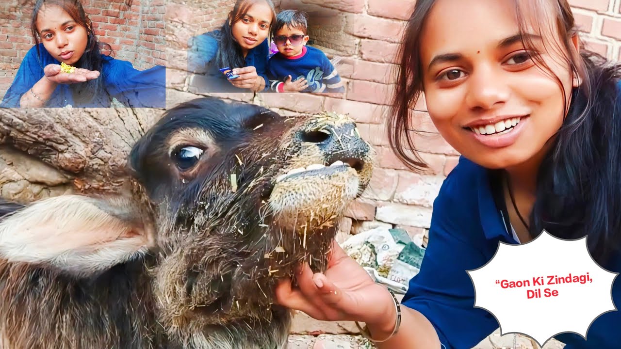 🐄 Maa Jaisi Mamta 🐃 | Gaay–Bhains Se Juda Gaon Ka Rishta | Emotional Village Vlog 🌾💔