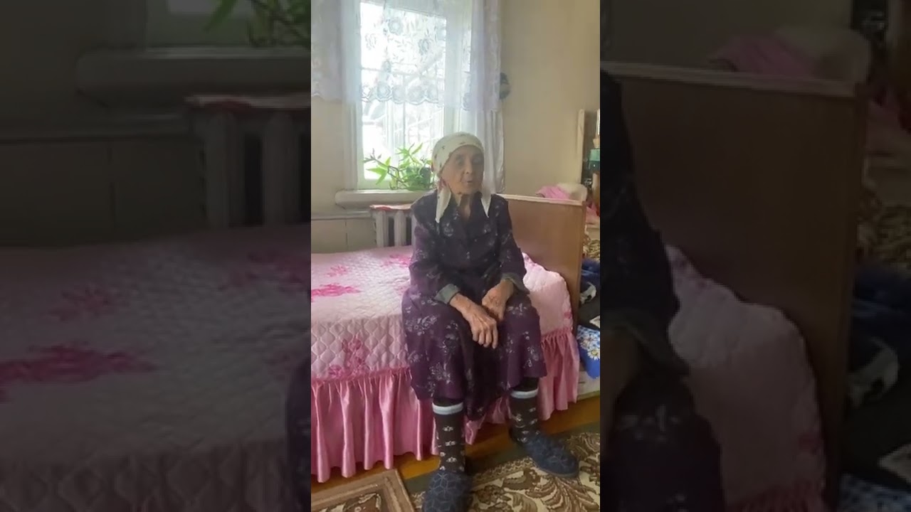 Хиффә әбинең агачында,нинди генә кошлар юк🦜🦉🐧