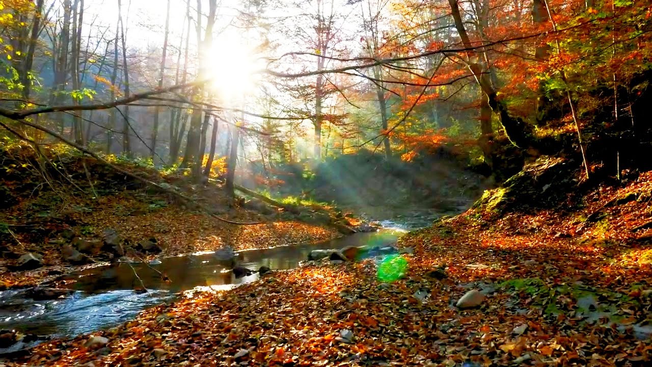 Cyan Squad - Herbstluft (Euphoric & Peaceful Uplifting Trance Mix)
