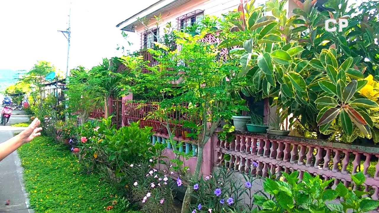 AMAZING 100+ YEARS OLD HOUSE GARDEN OF RETIRED GOVERNMENT EMPLOYEE