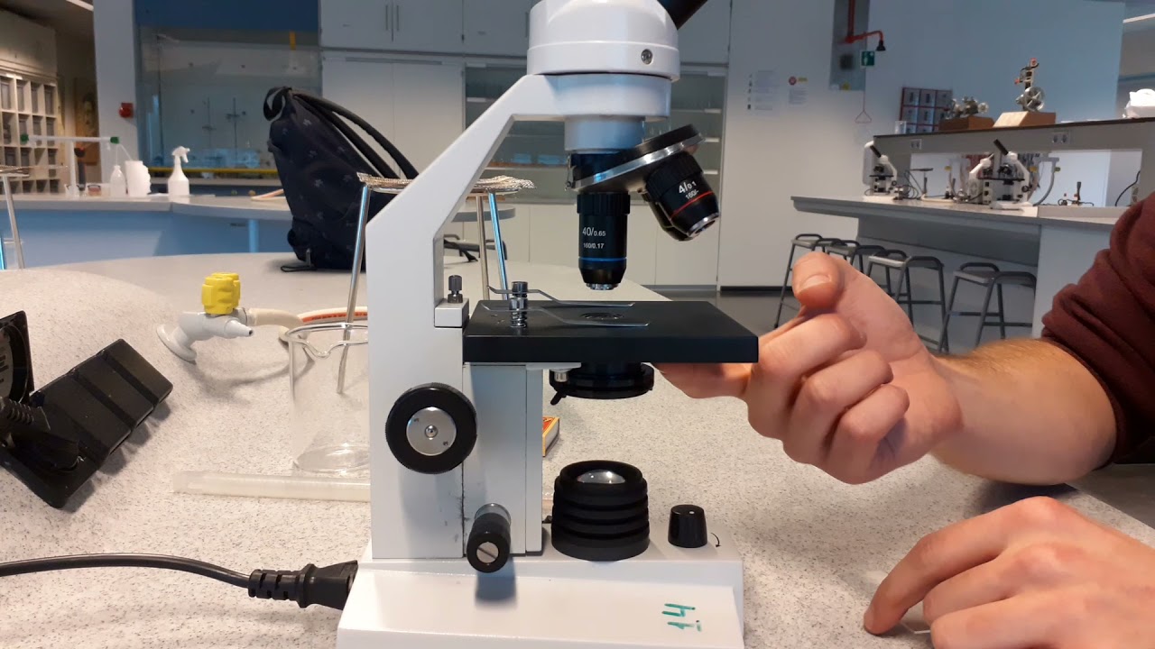 Instructievideo gebruik van de microscoop