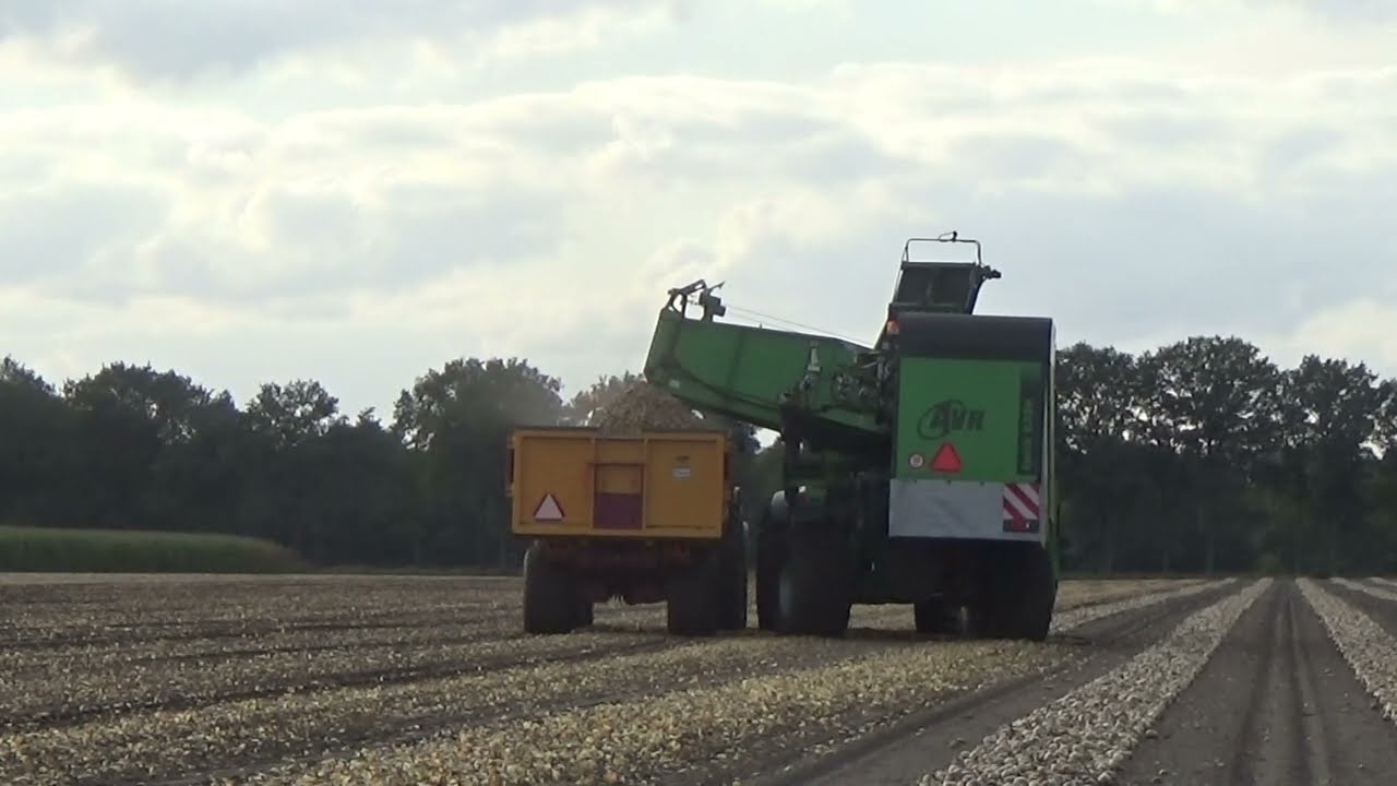 uien rooien john deere 6125r met avr spirit 6200 met john deere 7430  bkh keeper en john deere 6155r