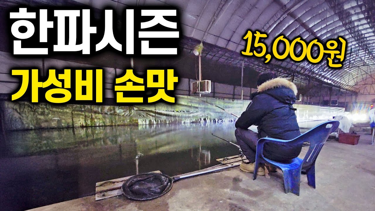 한파가 시작된 겨울, 가성비 좋은 하우스 낚시터에서 손맛 제대로다