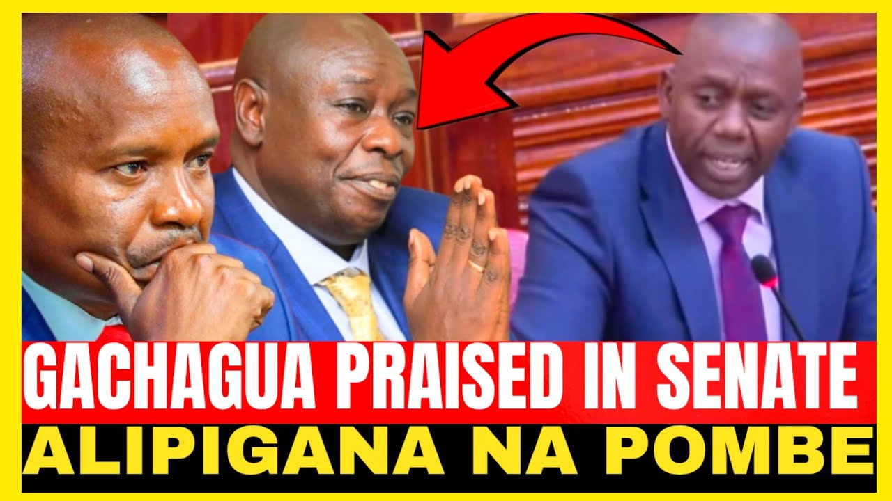 GACHAGUA PRAISED IN SENATE ALIPIGANA SANA AKIWA DEPUTY PRESIDENT ALIPIGANA NA POMBE!! 