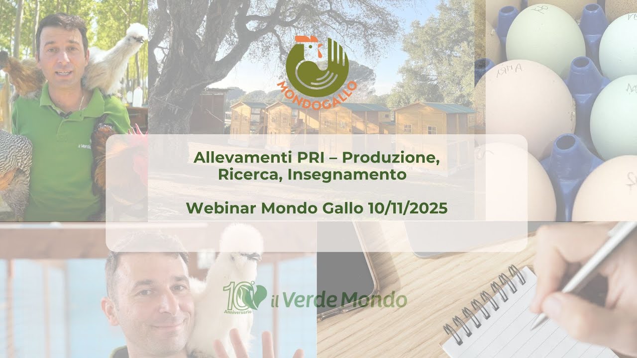 Allevamenti PRI – Produzione, Ricerca, Insegnamento | Webinar Mondo Gallo 10/11/2025