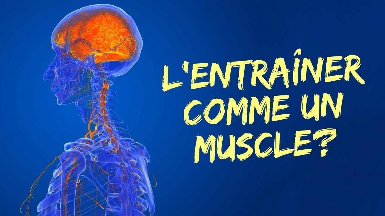 Le CERVEAU s'exerce-t-il comme un MUSCLE? La réponse d'un expert.