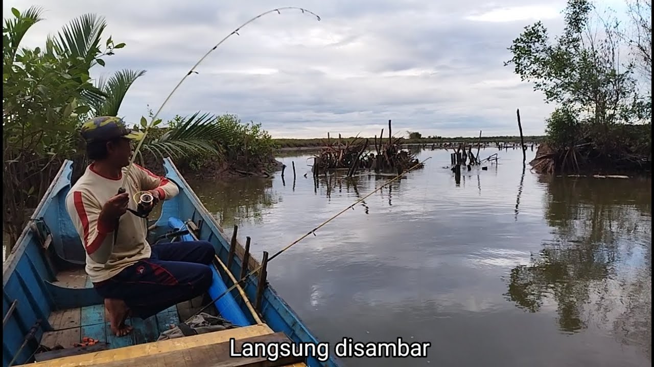 Ikan Trakulu dan ikan Krapu mendominasi,sampai kehabisan umpan