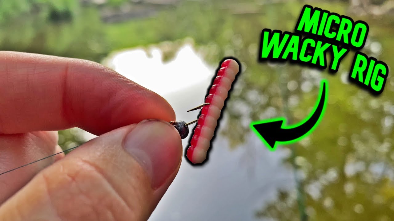Tiny Spillway Fishing with Micro Wacky Rig (Surprise Catch!)