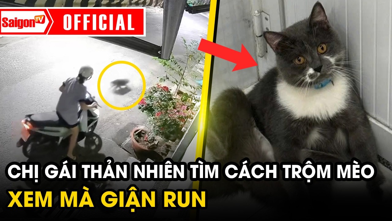 Giận ‘run người’ vụ người phụ nữ tìm cách bắt trộm thú cưng dù chủ nhà đã mở cửa | Tin SaigonTV