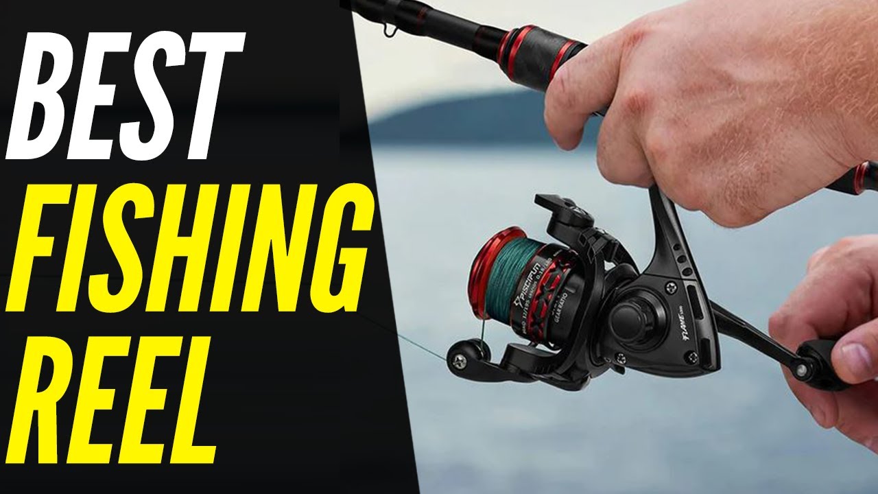 TOP 5: Best Fishing Reel 2022 | For Pros and Beginners!