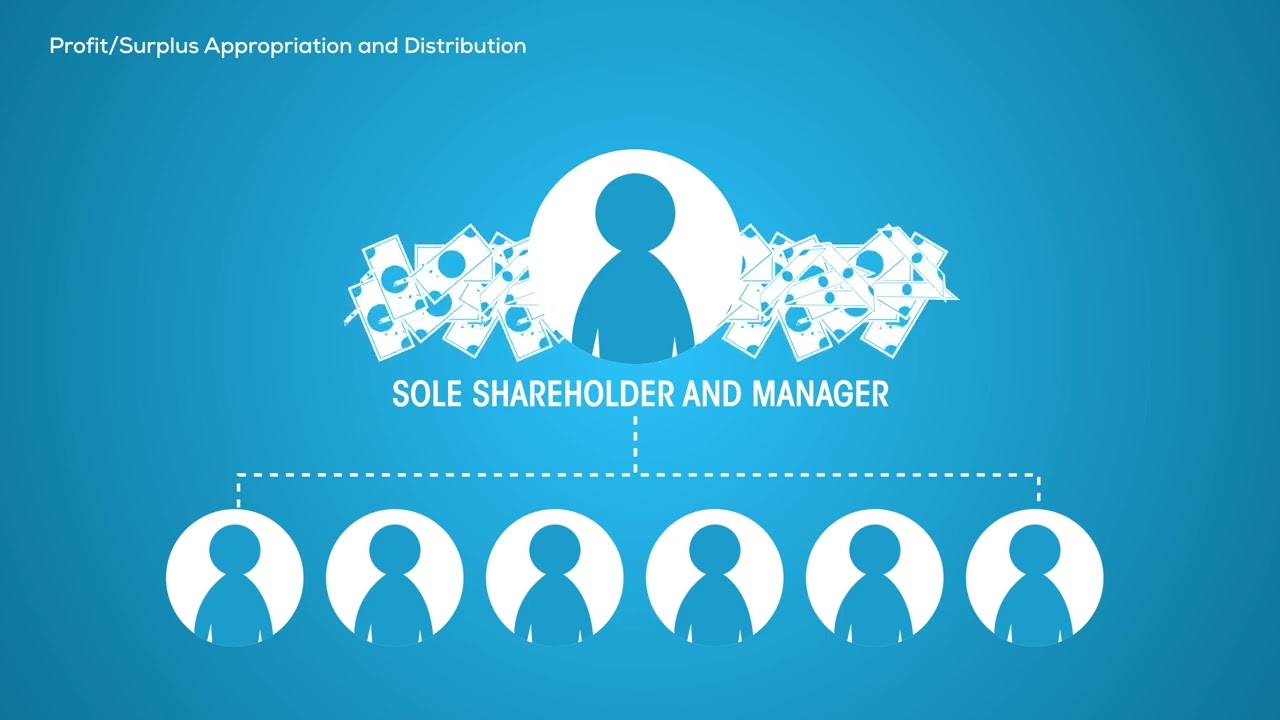 Worker Cooperatives: How Profits are distributed