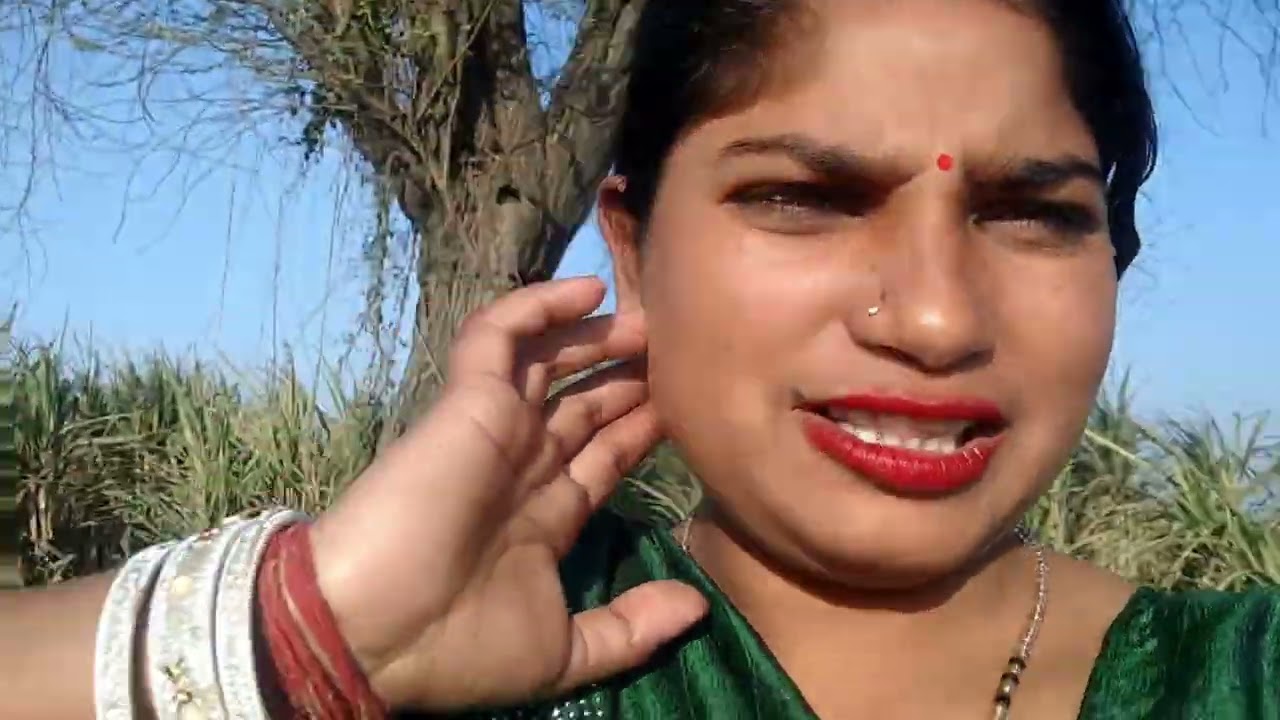 Mahashivratri Pura Mahadev Mandir Mela per Gaye