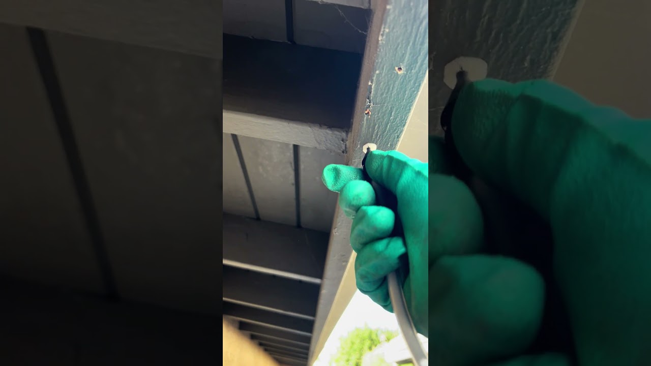 Drill and treat for drywood termites with premise foam BugProINC.com #termitecontrol #pestcontrol