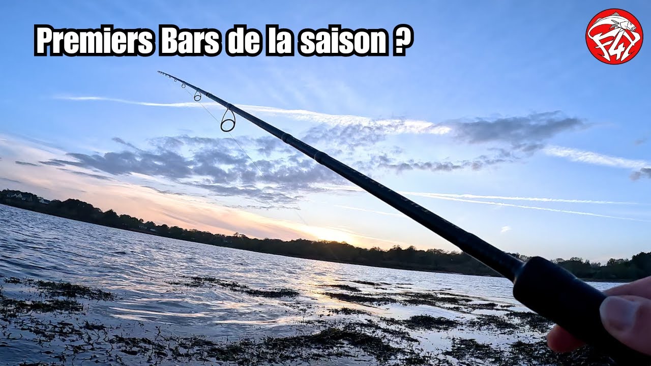 LES BARS SERONT-ILS PRESENT POUR LA PREMIERE SORTIE ? - JEU CONCOURS pêche du bar aux leurres