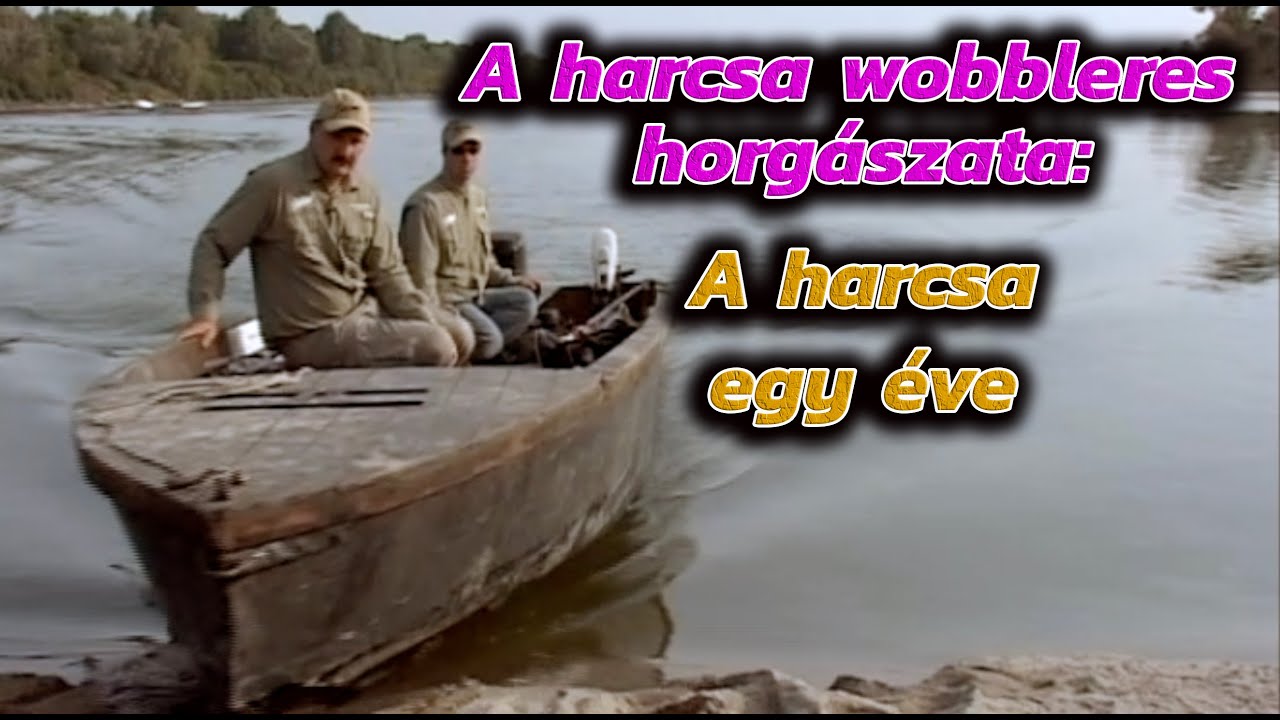 A harcsa wobbleres horgászata: A harcsa egy éve.