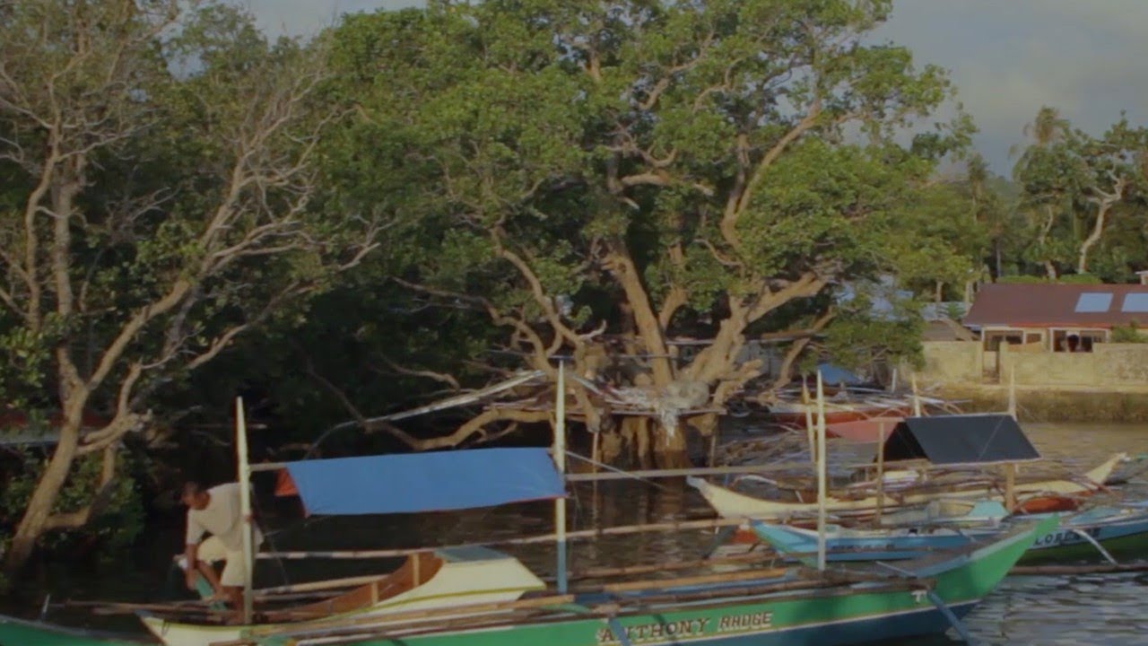 The Road to Zero Open Defecation (Aroroy, Masbate)