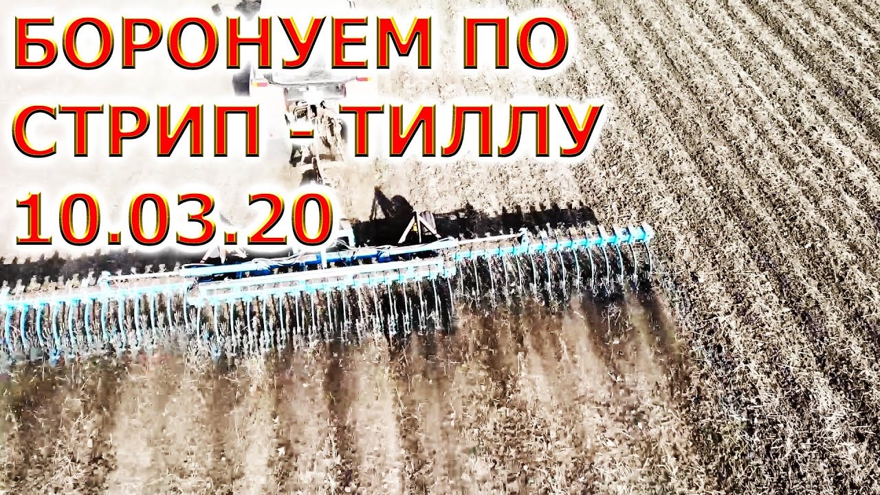 БОРОНОВАНИЕ ПЕРЕД ПОСЕВОМ ПОДСОЛНЕЧНИКА | 
