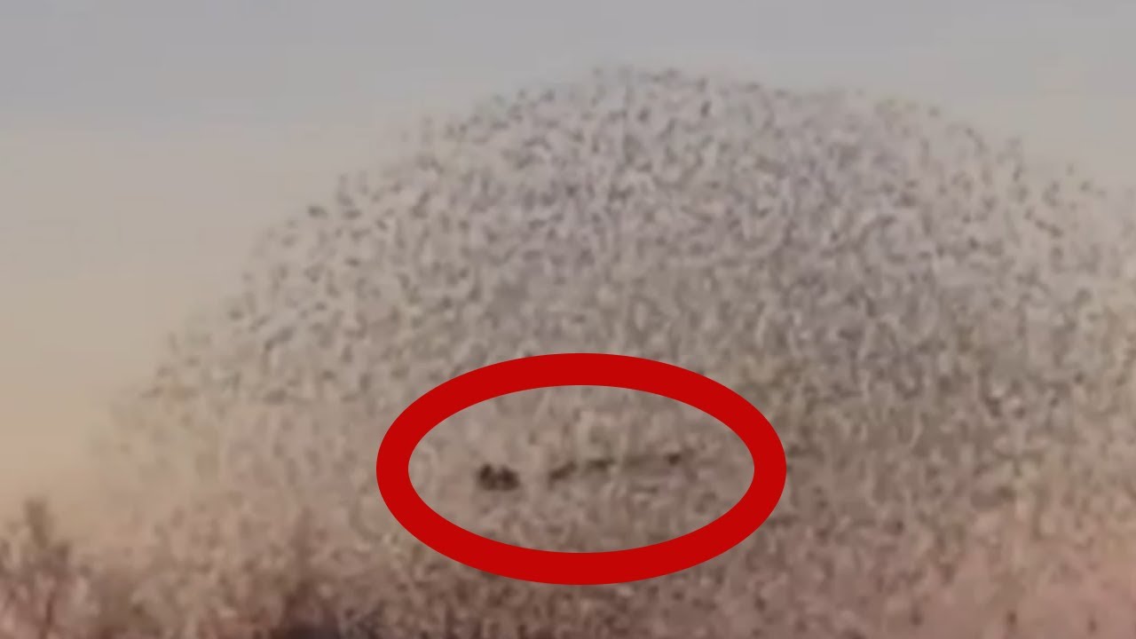 5 FLYING SANTA CLAUS caught on camera | spotted in real life Part 6