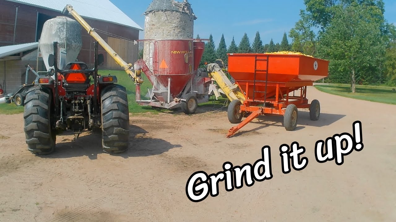 Grinding corn!
