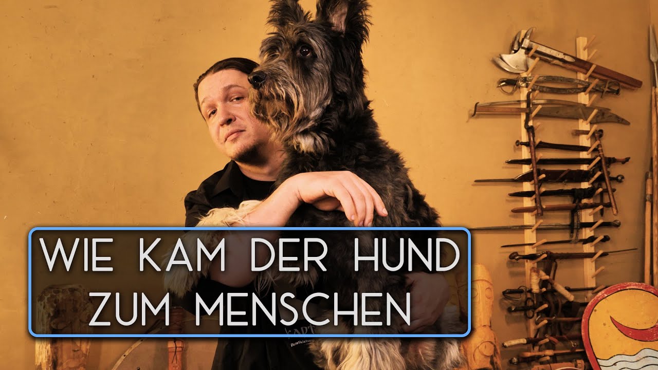 Wie kam der Hund zum Menschen - Die Domestikation des Hundes