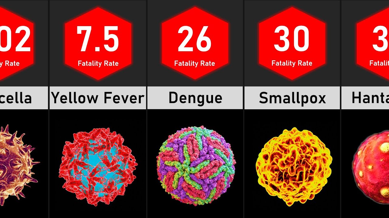 Pandemic Comparison: Deadliest Diseases Fatality Rates | Data Tuber