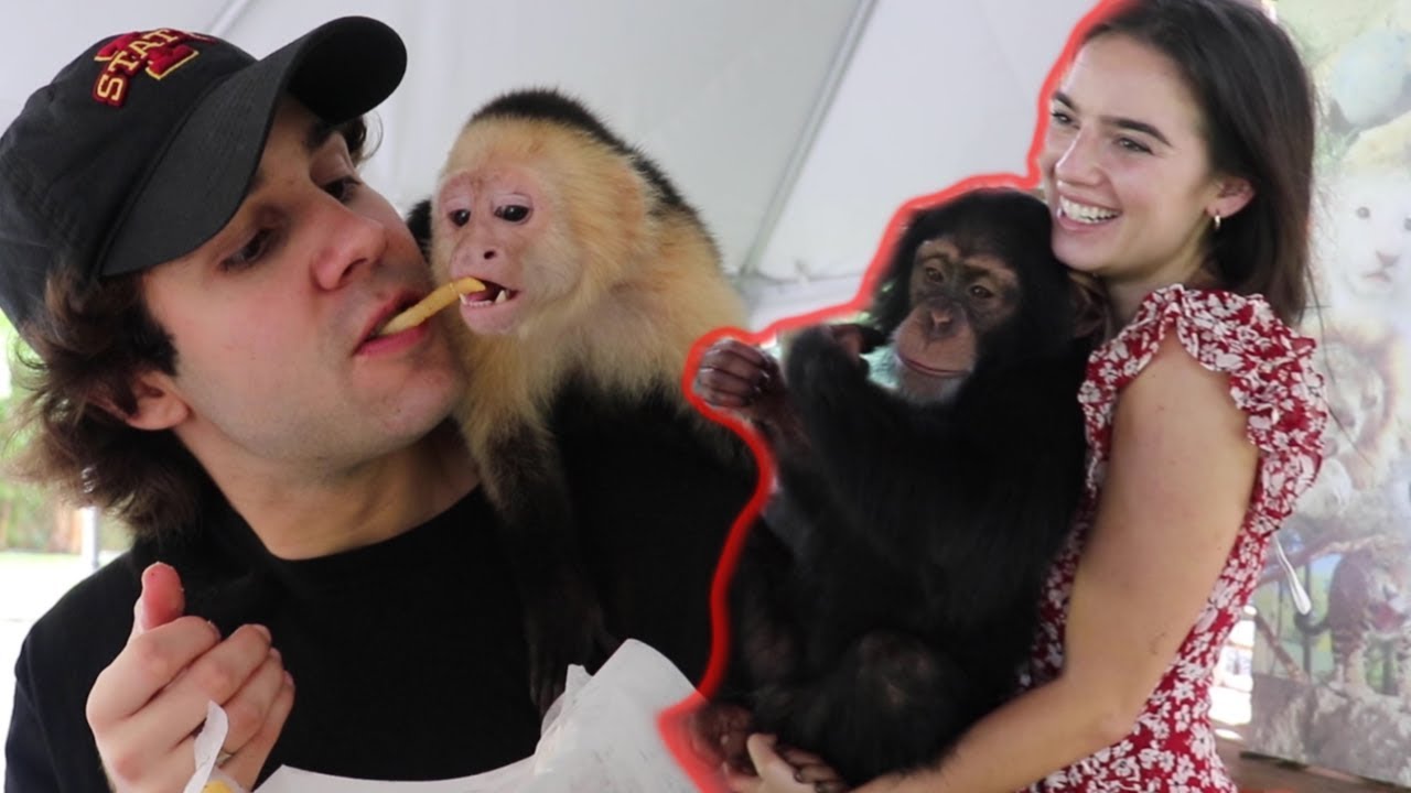 I COULDN'T BELIEVE THEY DID THIS!!