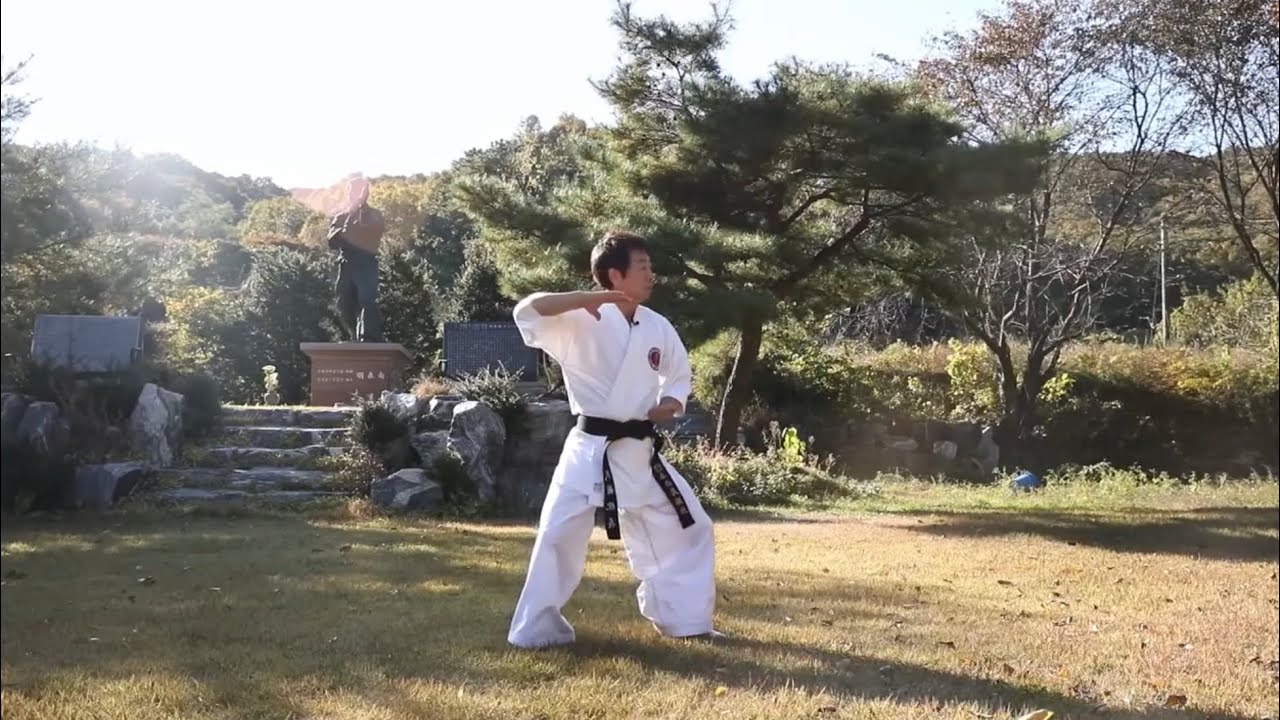 Introduction to Hankido and Hankumdo