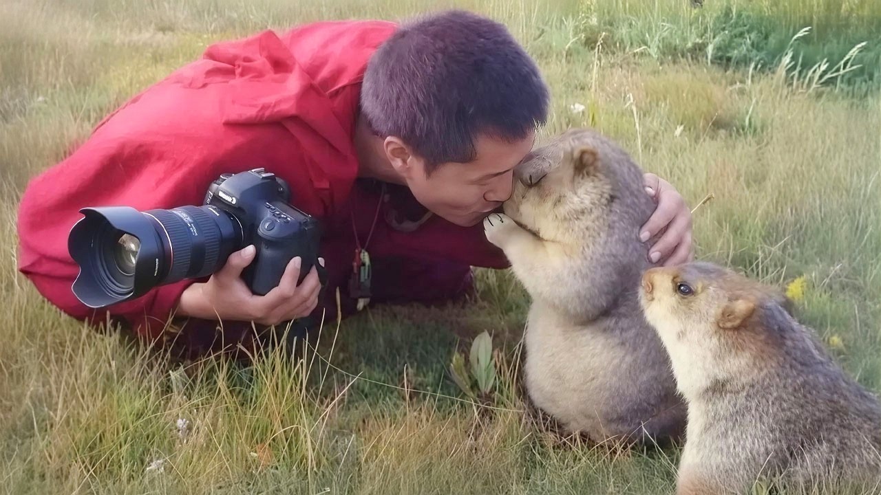 Фотографы, которые подружились с дикими животными самым милым способом! 😍🐾