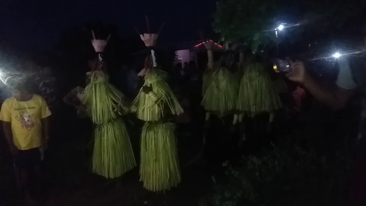 Aruan&atilde; em aldeia Fontoura