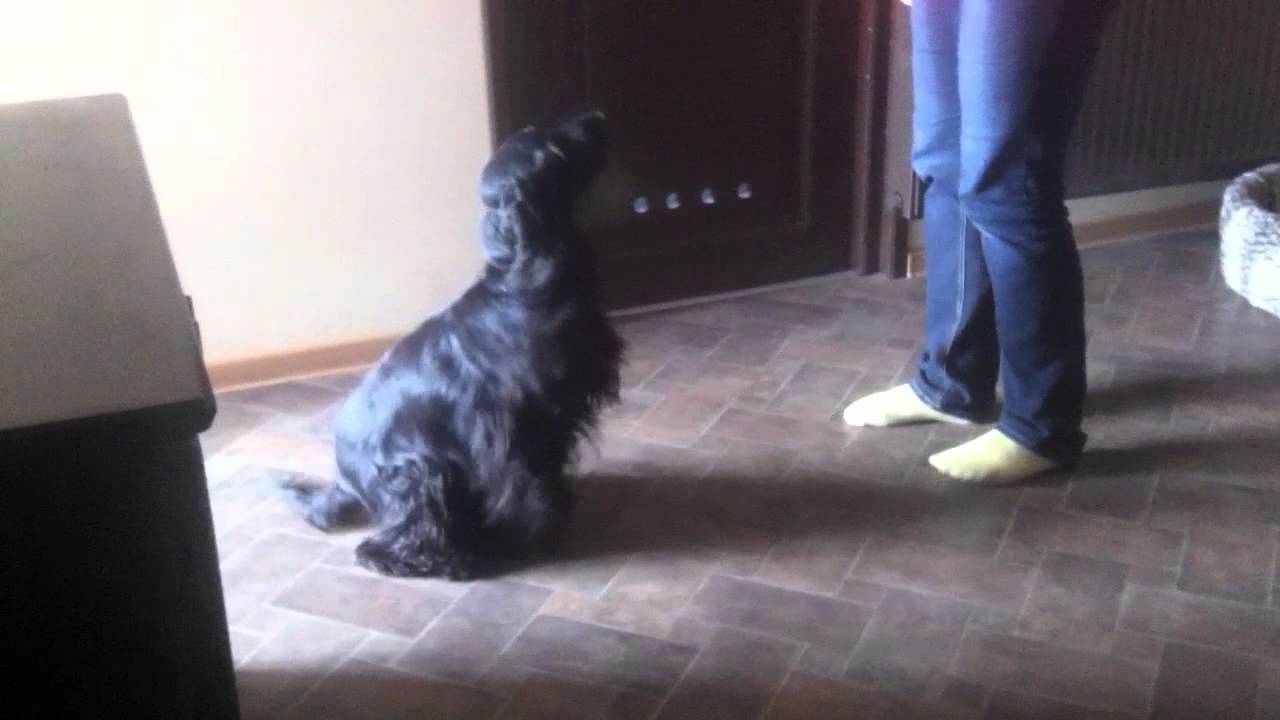 Coco 2