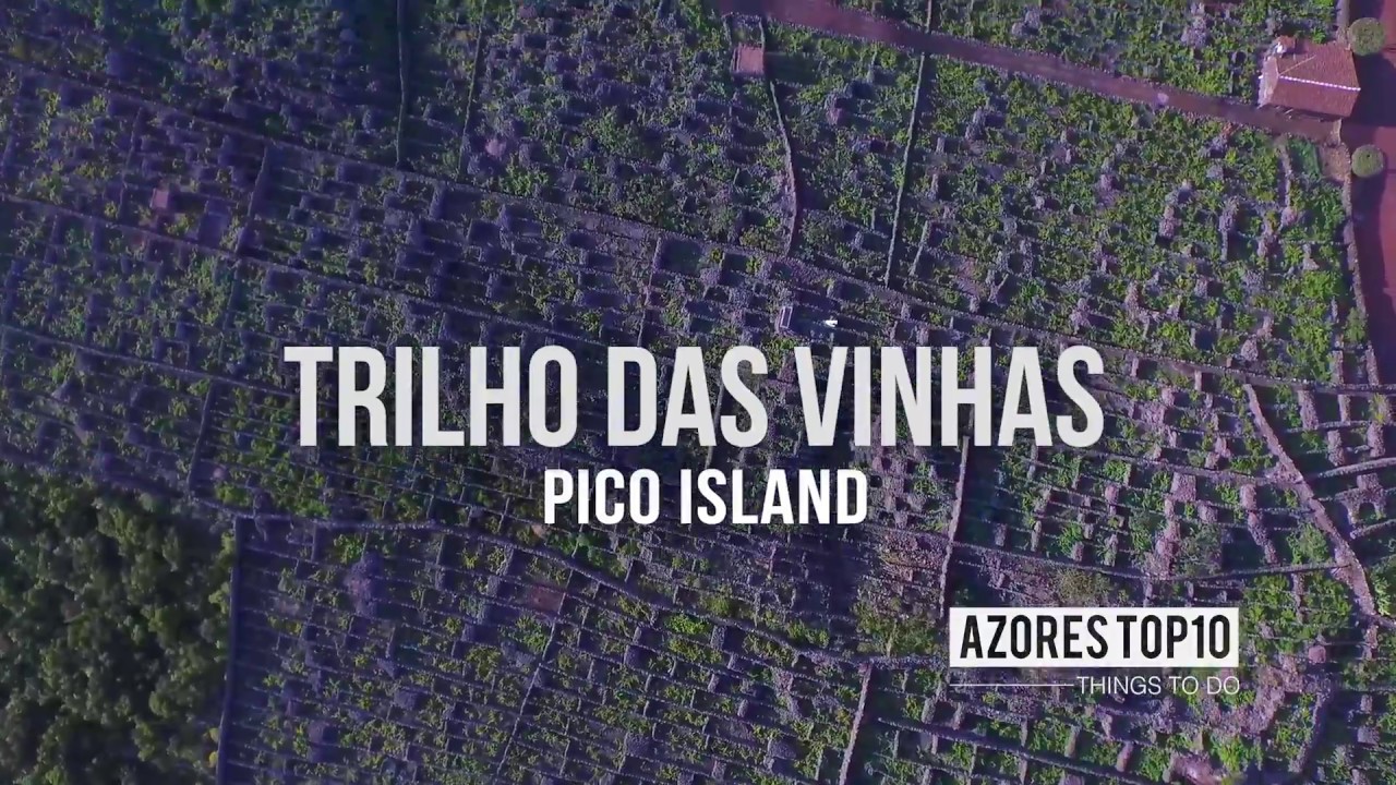 Vinhas da Cria&ccedil;&atilde;o Velha | Landscapes | Azores Top 10 Things To Do