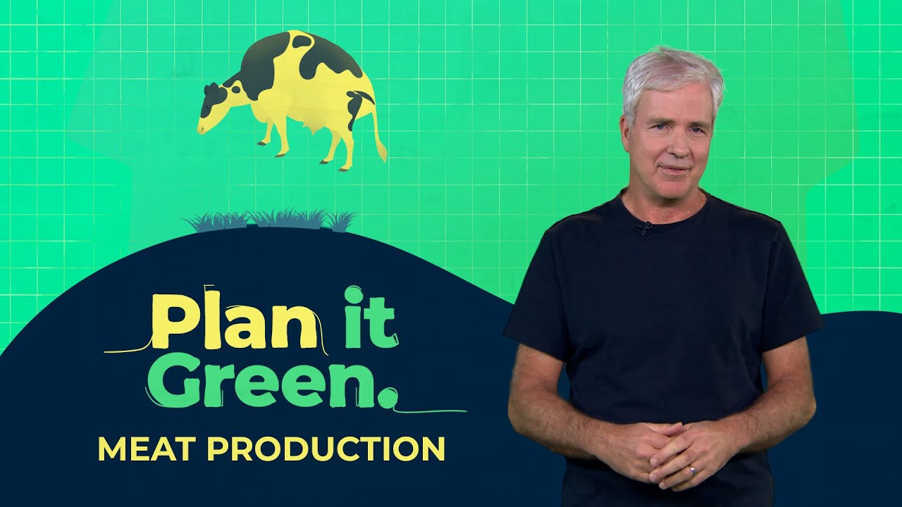 Meat Production: Can we cut back? | Plan It Green