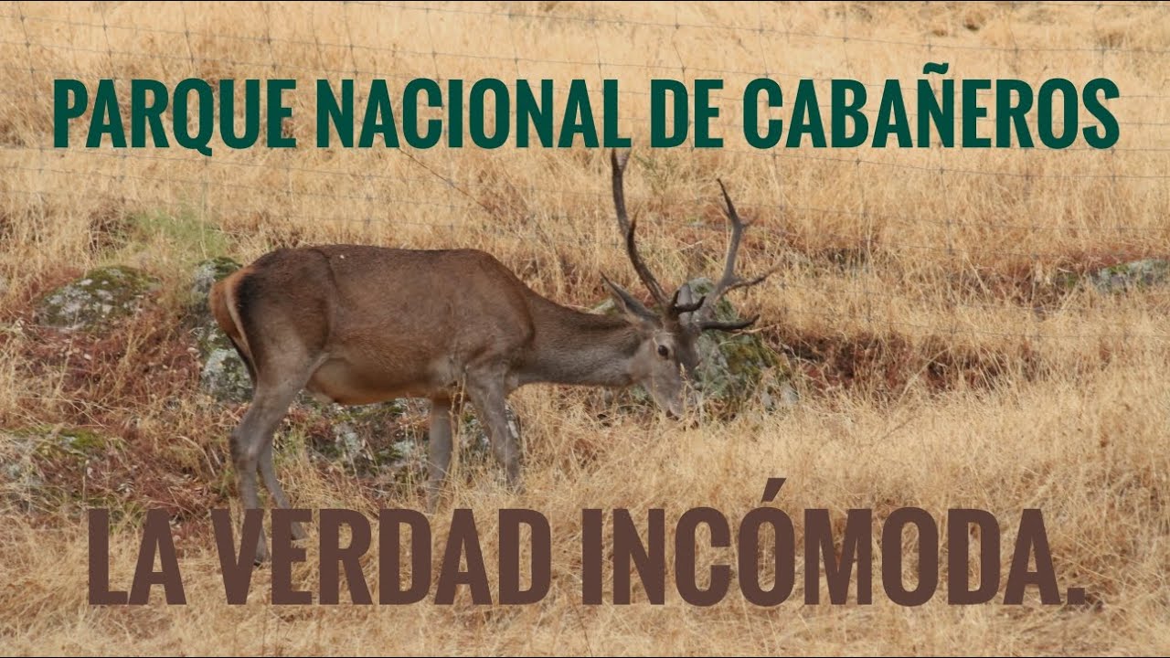 PARQUE NACIONAL DE CABA&Ntilde;EROS.                  LA VERDAD INC&Oacute;MODA.